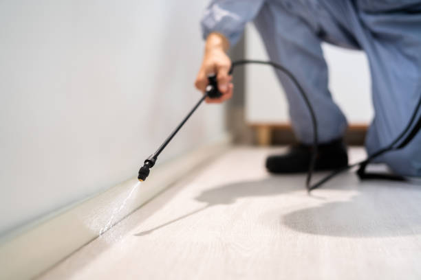 Licensed Cockroach Control service in Manhattan, NY - Nex Pest Control