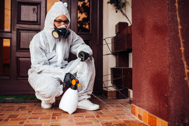 Reliable Cockroach Control contractor in Manhattan, NY by Nex Pest Control